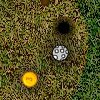Money Golf