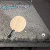 Table Tennis Challenger 2